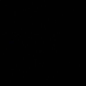 Meet your Posher, Alfonso